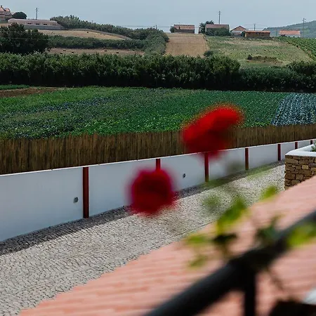 בית הארחה Patio Da Figueira