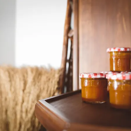 Patio Da Figueira בית הארחה טורס ודראס