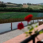 Guest house Patio Da Figueira