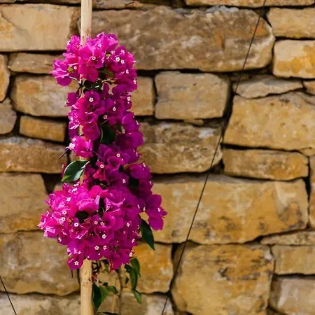 Pensión Pátio Da Figueira 3*