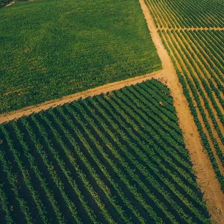 Pátio Da Figueira Pensión