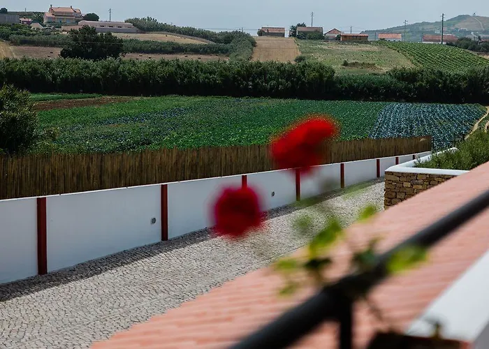 Maison d'hôtes Patio Da Figueira