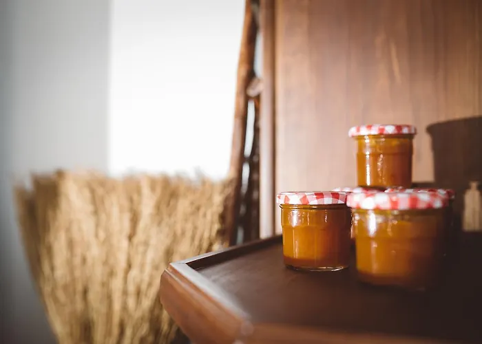 Patio Da Figueira Maison d'hôtes Torres Vedras