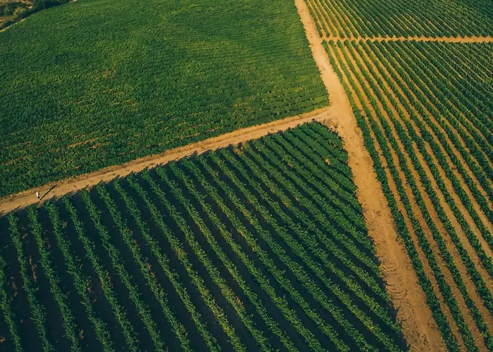 Patio Da Figueira Maison d'hôtes